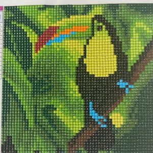 Tropical Rain Forest Toucan Diamond Dot Art Picture Painting